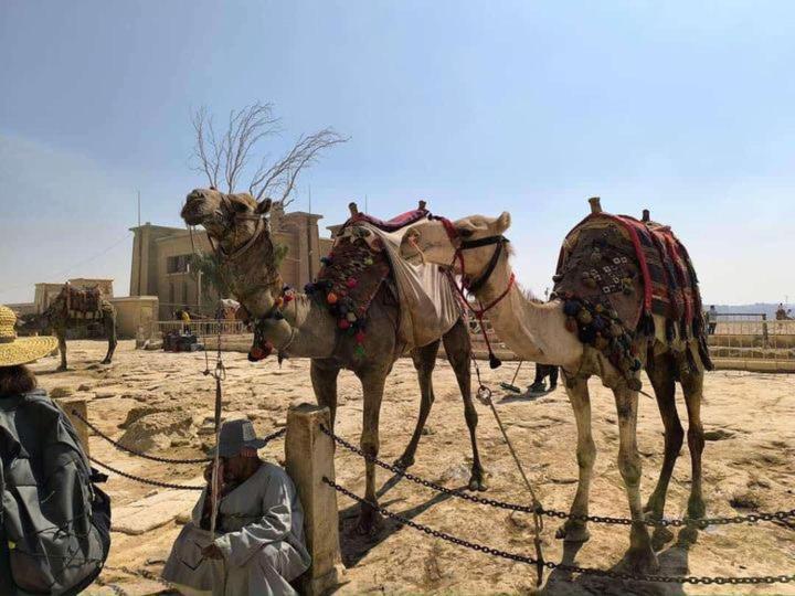 Thoth Pyramids Inn Kafret el-Gabal Eksteriør billede